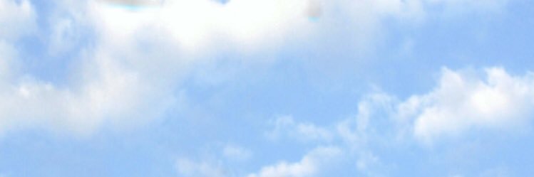 Freja banner