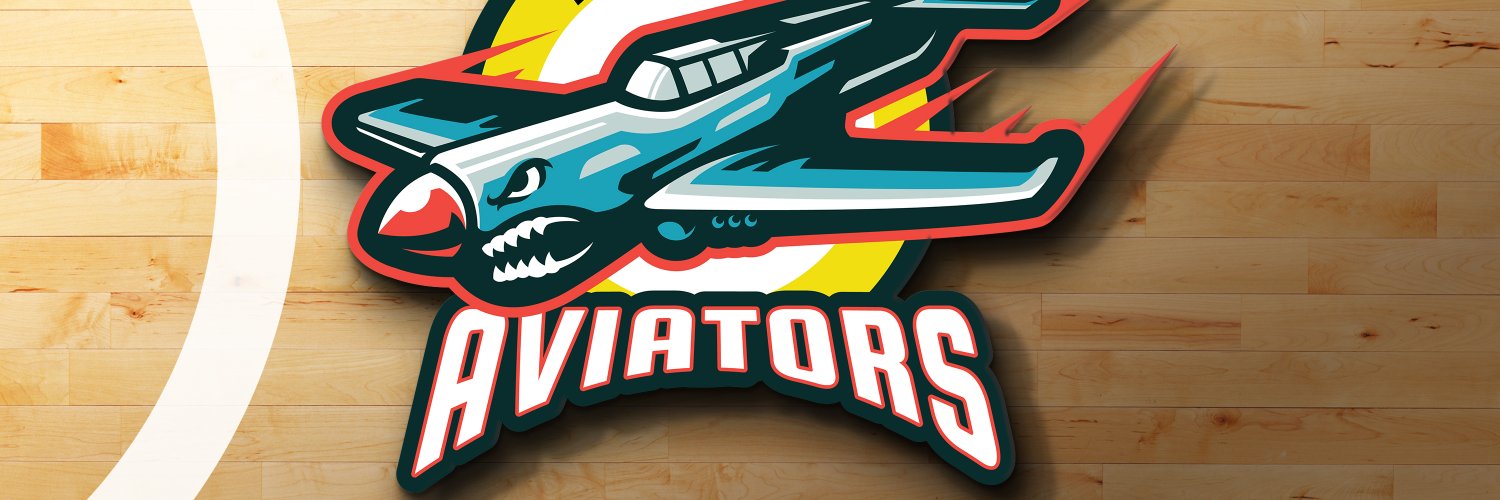 Akron Aviators banner