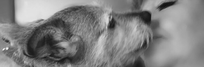 Bhiffy's profile banner image