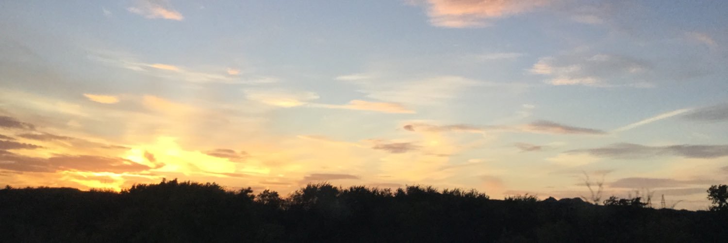 rbpin's profile banner image