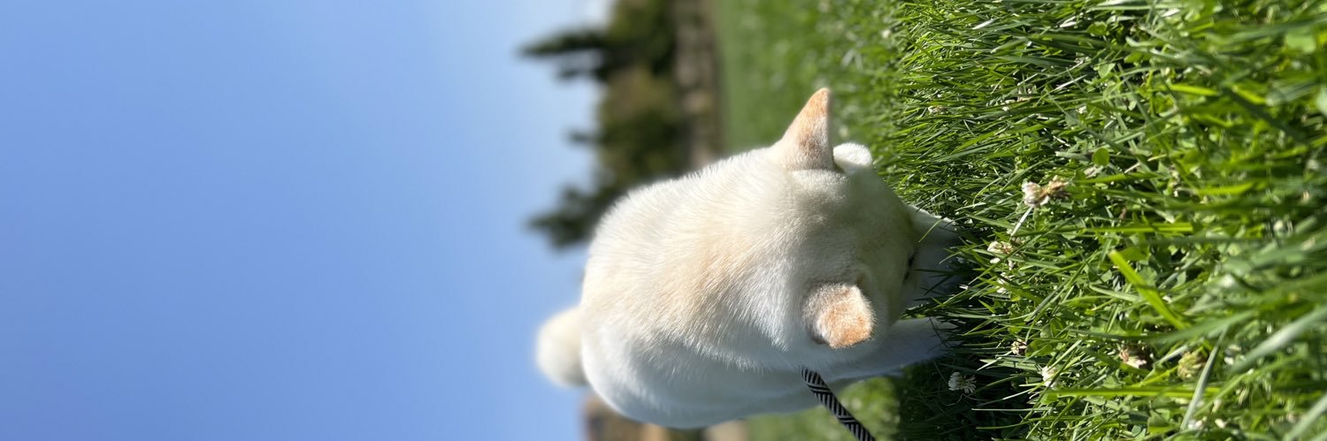 Haku banner