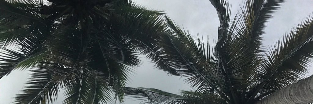 whoisabalv's profile banner image