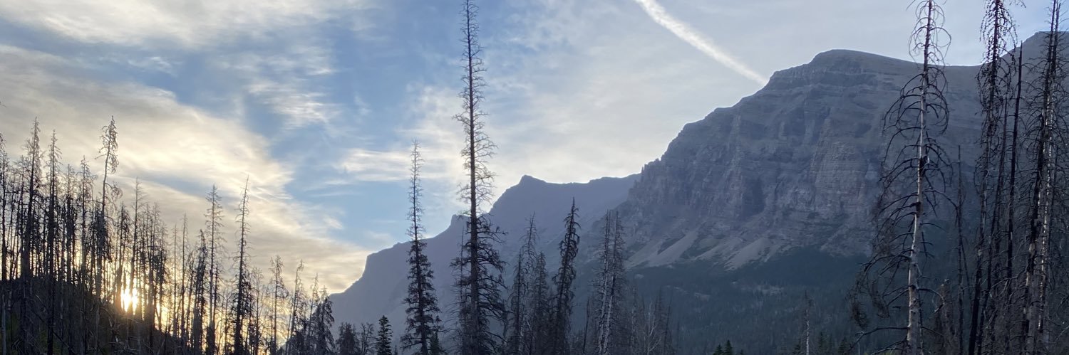 SinnieMarie's profile banner image