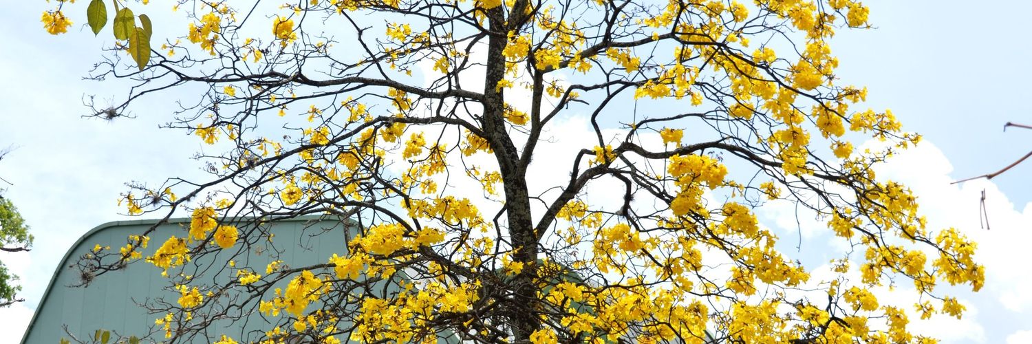 Mateo García banner