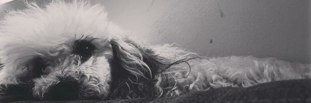 awanderingmind_'s profile banner image