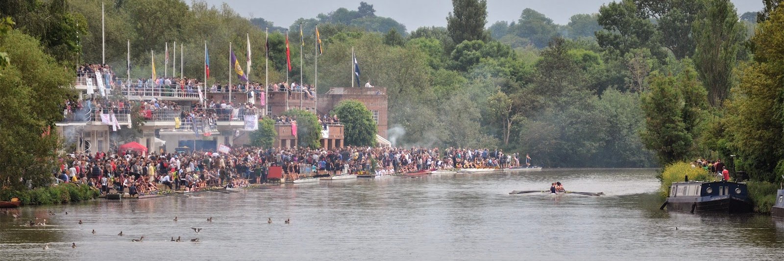 Is It Bumps Yet? banner