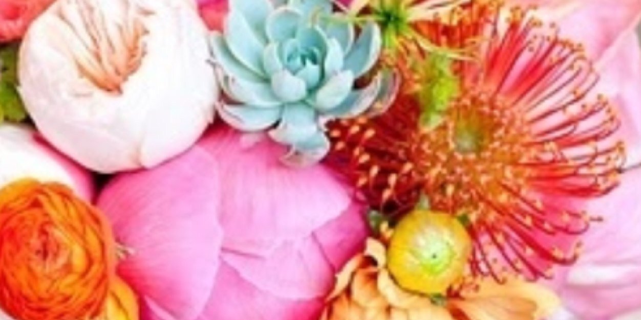 caitlin_dodge's profile banner image