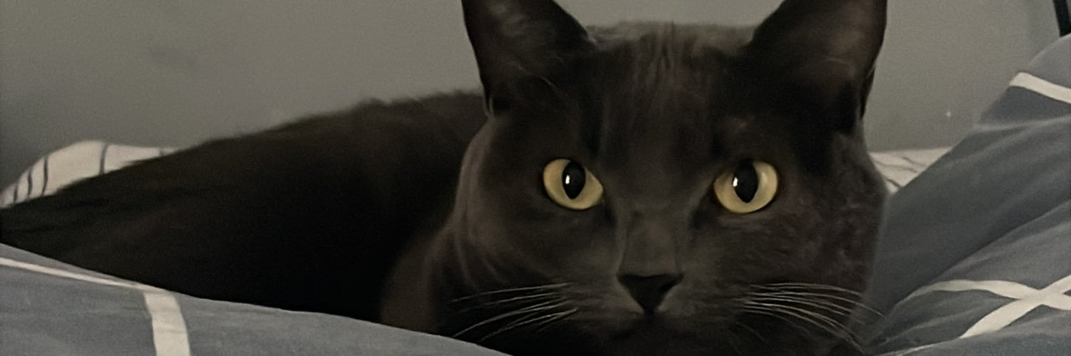 almz_'s profile banner image