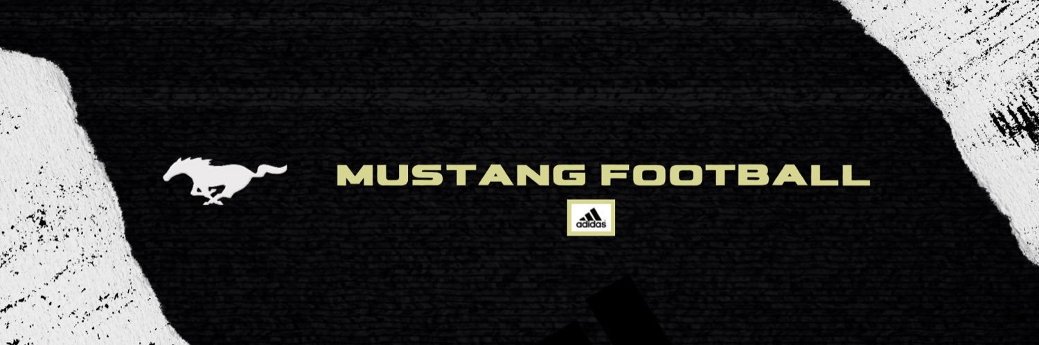 Loretto Mustangs Football banner