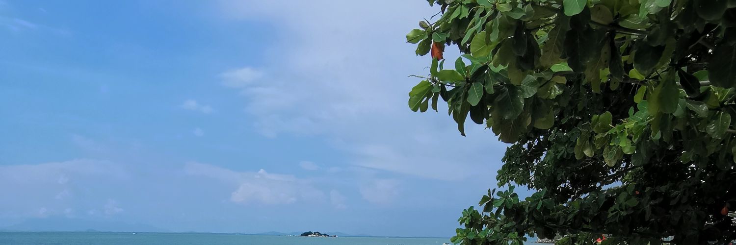 j3nnybeanss's profile banner image