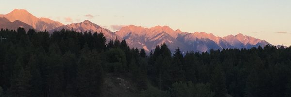 SaharZSaeed Profile Banner