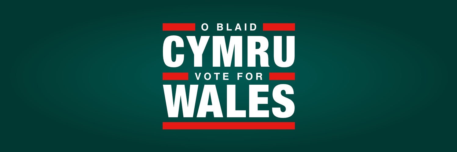 Elin Walker Jones 🏴󠁧󠁢󠁷󠁬󠁳󠁿 banner