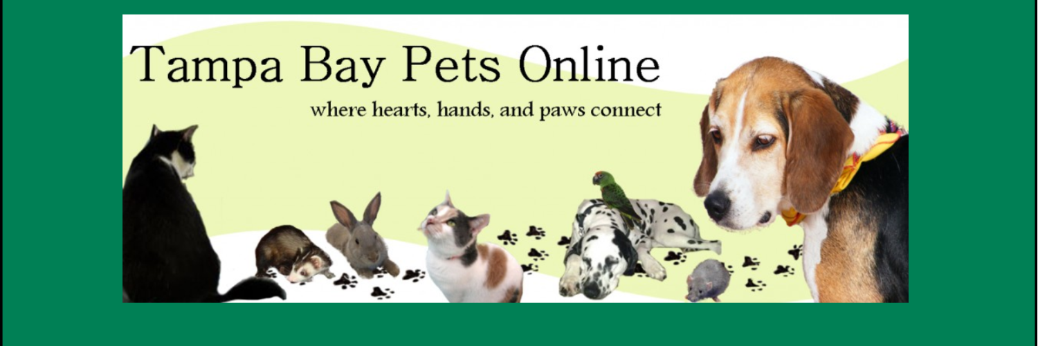 TBPets's profile banner image