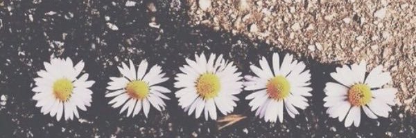 _idvm's profile banner image