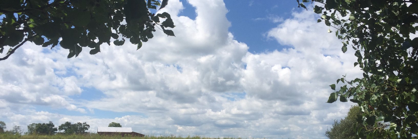 DVogelsong's profile banner image