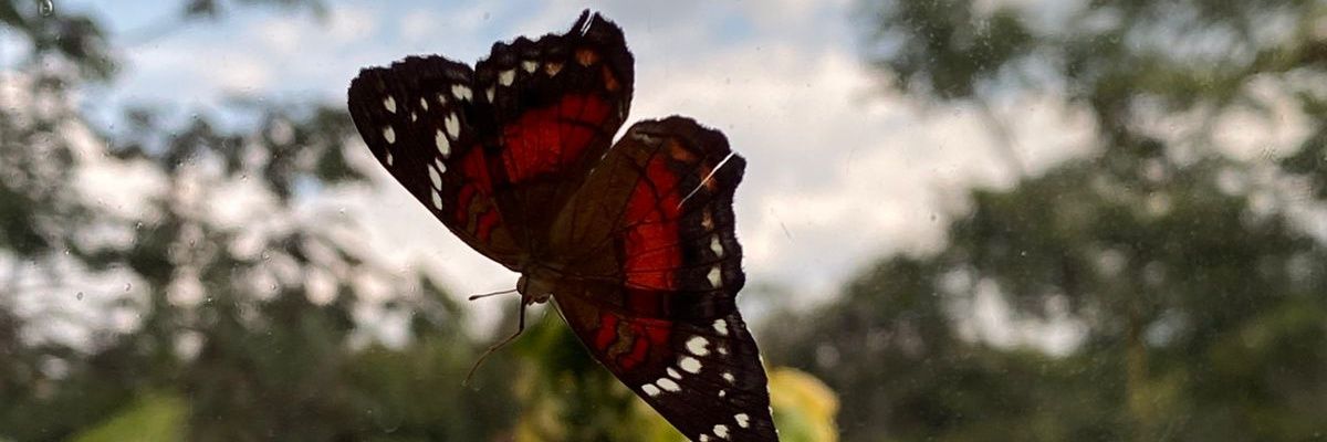 6MarceG's profile banner image