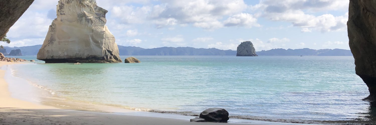 Alexandria Winning banner