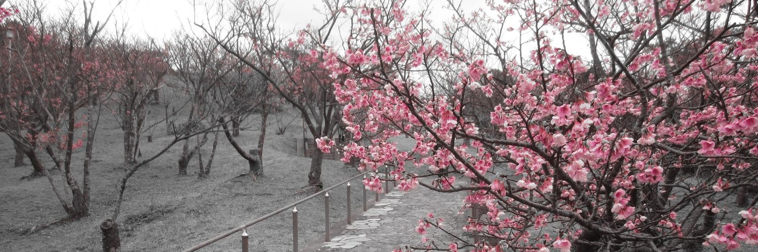 ivyquinto's profile banner image