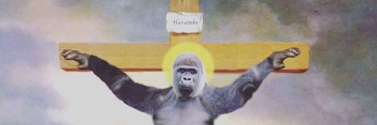 tonyg0's profile banner image