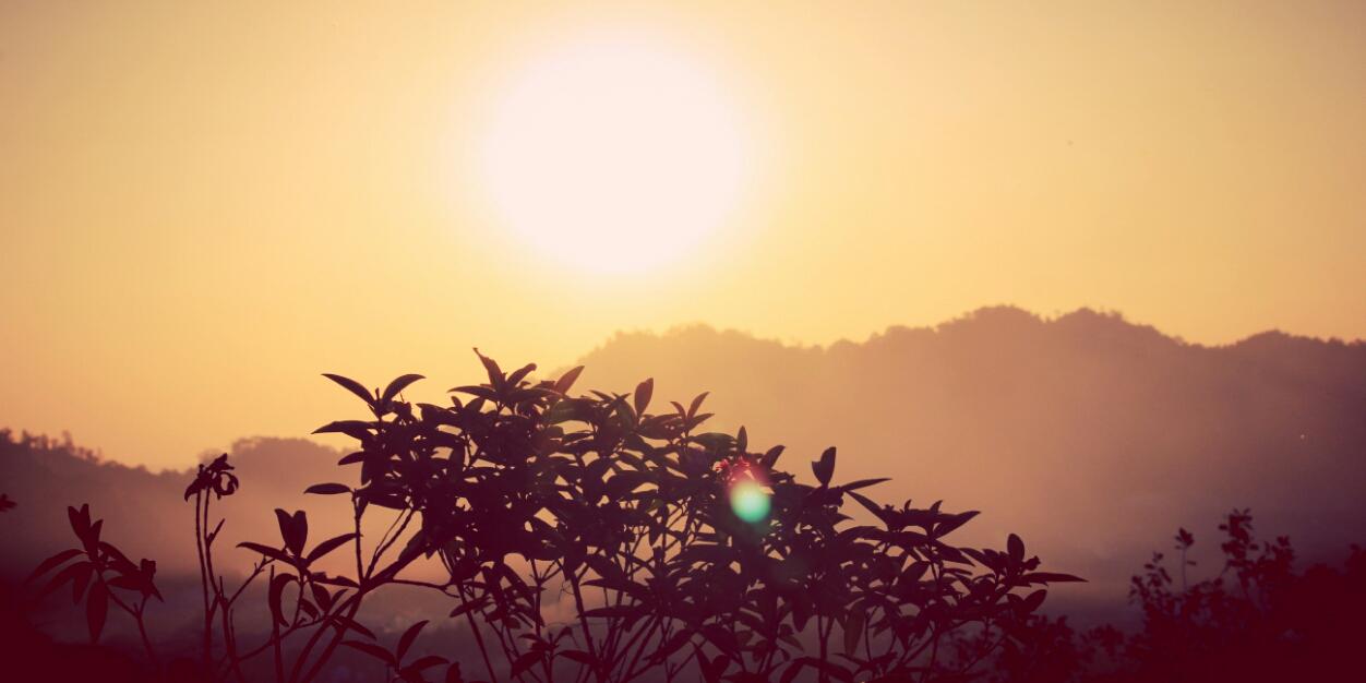 neeLamPiLianK's profile banner image