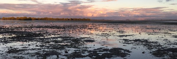 TwomeyAlice Profile Banner