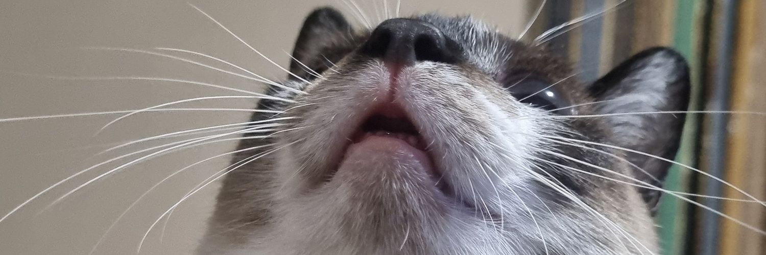 YHeiderick's profile banner image