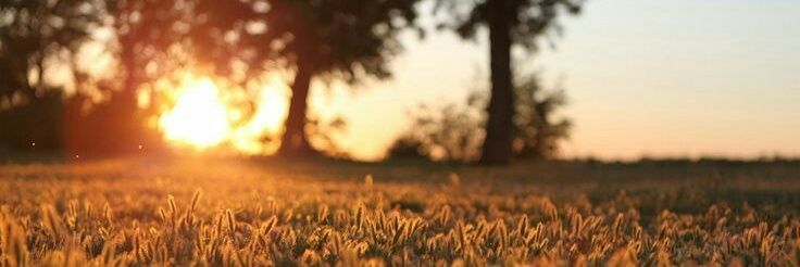 BeccaOMeara's profile banner image