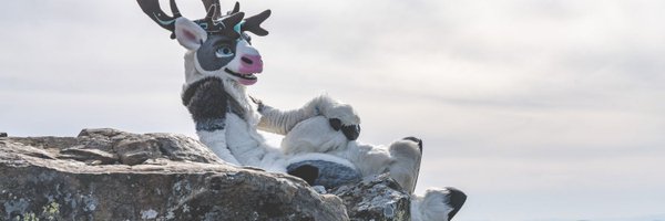 R0rek Profile Banner
