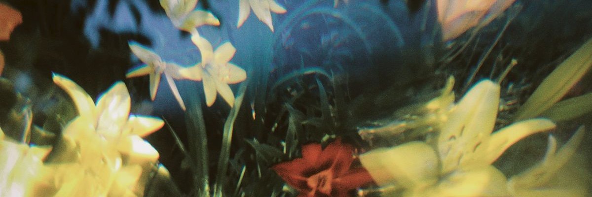 anji 🐞 banner
