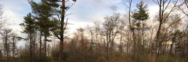 marsha_modeste Profile Banner