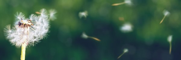 OsherCollab Profile Banner