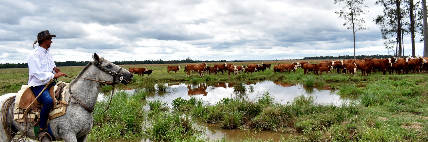 Asociación Rural del Paraguay banner