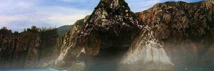 FelipeT61465482's profile banner image