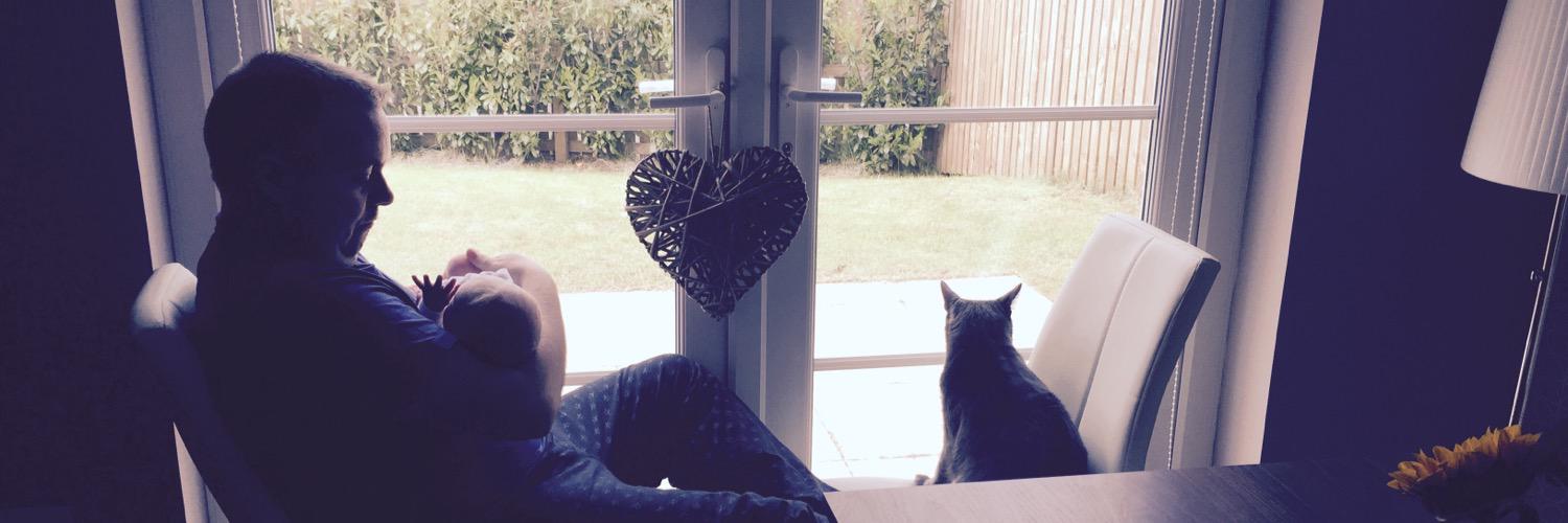 LissaWelsh's profile banner image