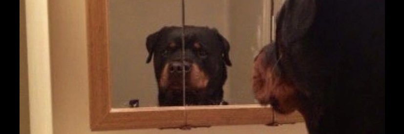 Jose Tabora Jr. banner