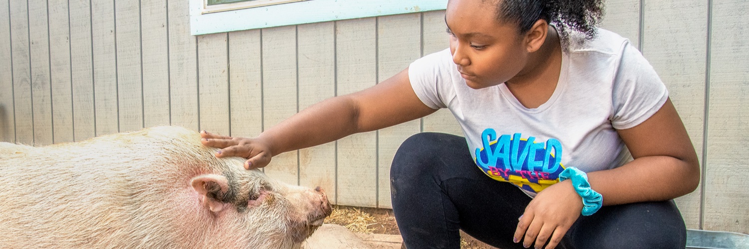 Genesis Butler banner