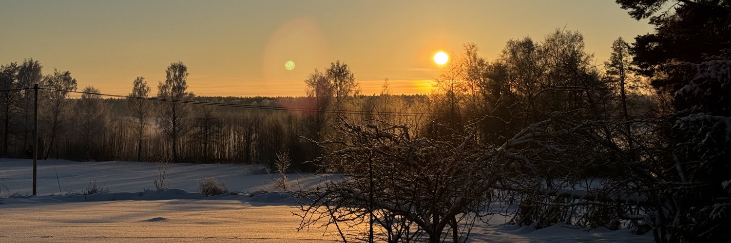 Olle E. Johansson banner