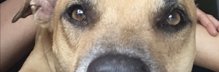 sunzubieta's profile banner image