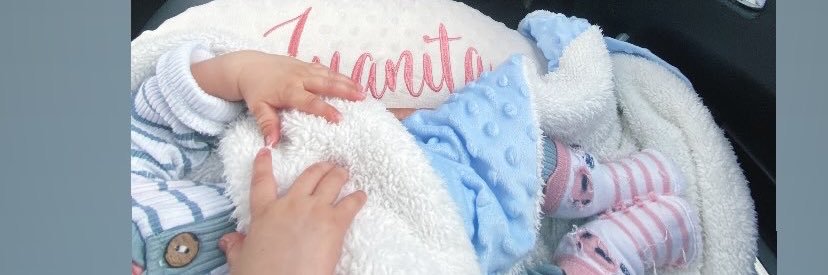 Lausofine's profile banner image