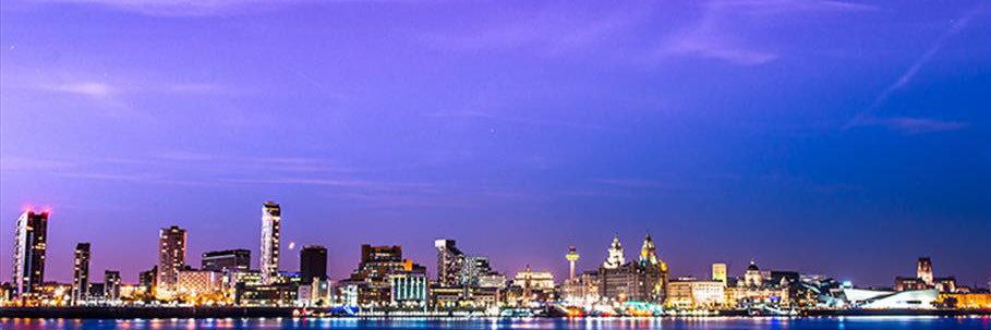 Sue Bellinger banner