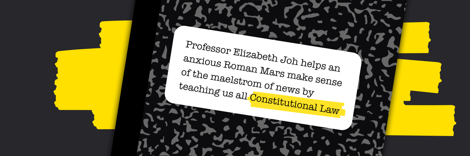 Learn Con Law banner