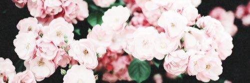 davonte_holmes's profile banner image