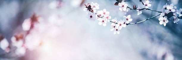 wavyindividual's profile banner image