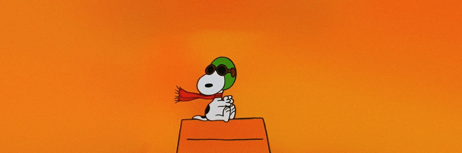 かみねこ🐾 banner