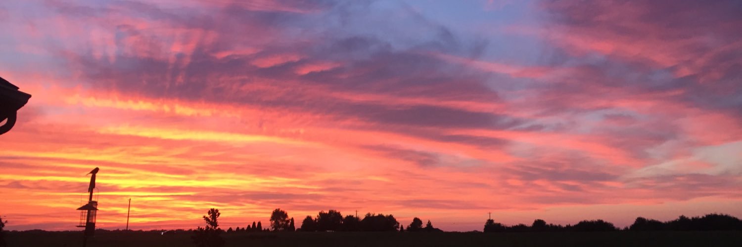 KellyWonder20's profile banner image
