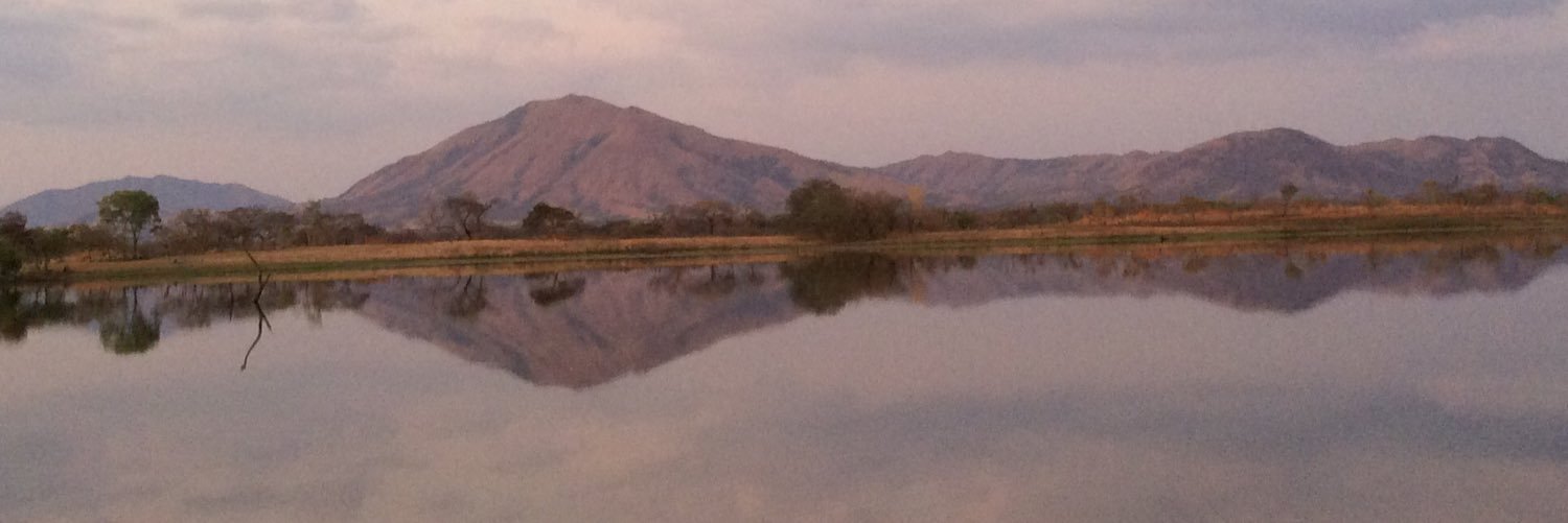 cotuap's profile banner image