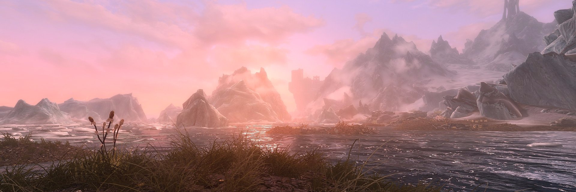 CynicalDolphin's profile banner image