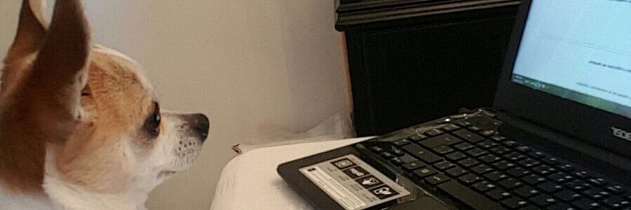 diana jibrine 🇱🇧🇨🇦 banner