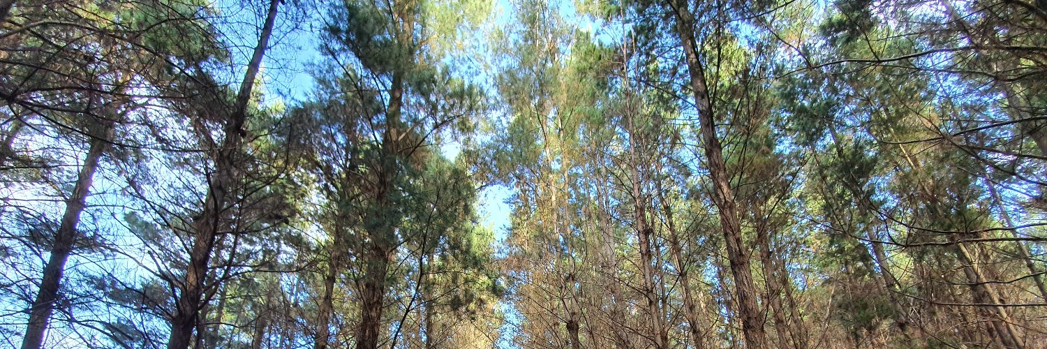 Nina Roxburgh (She/Her) banner