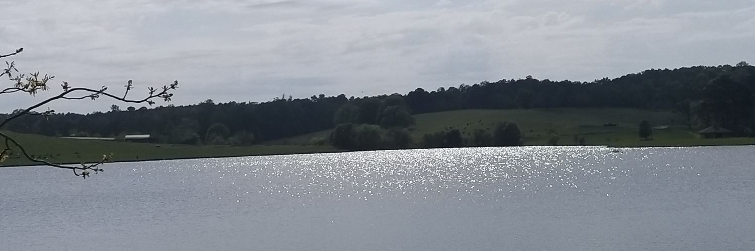 Lyric__Unique's profile banner image
